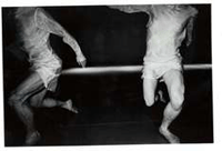 A Holland Kulturális Évad 2004 keretében: 