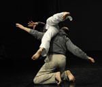 Company St - Gál Eszter: Kert