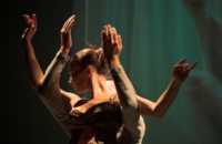 Duna Táncműhely: Metszetek