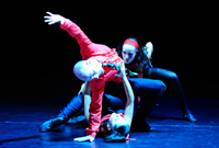 Győri Balett: Concerto V./ A halál és a lányka / Rooster