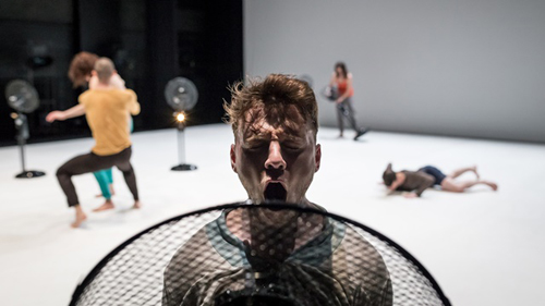 dudabreathe dd