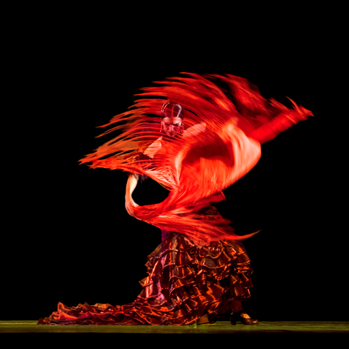 flamencomagia nemethmihaly