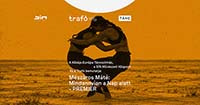 A Közép-Európa Táncszínház, a SÍN Művészeti Központ és a Trafó bemutatja