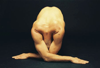 Lia Rodrigues Companhia de Danças (Brazília): 